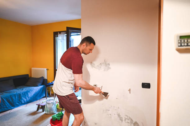 Best Residential Mold Remediation in Acton, CA